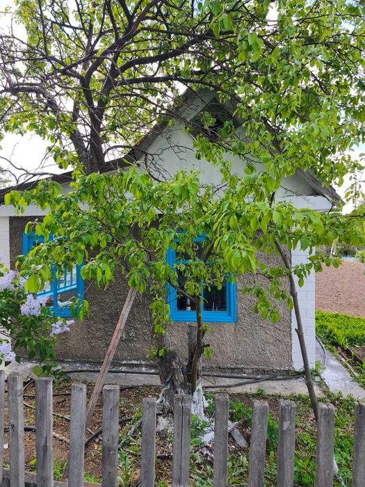 Продается ДАЧА 6 соток