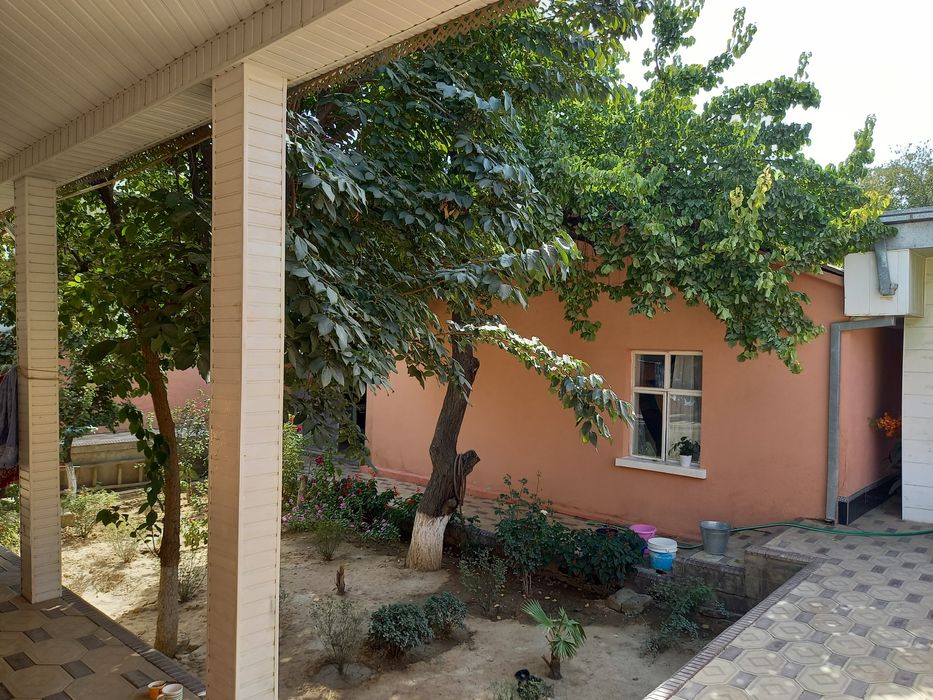 Чайхана N1 оркасида жойлашган 5 сотих ховли нахт ёки кредит асосида