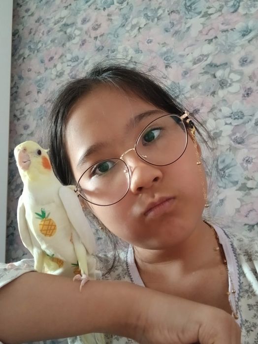 Продаётся попугай Корелла