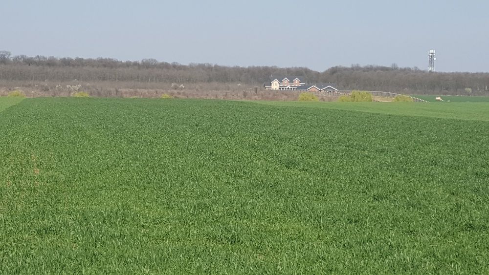 Balotesti, propr, intravi, gaz, c, 8041 - 45141 mp, d lac si padure