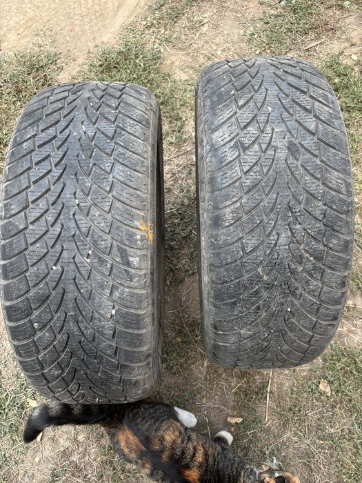 Шины летние 225/55 R17
