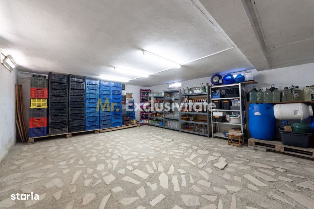 Casa visurilor cu livada roditoare si gradina amenajata