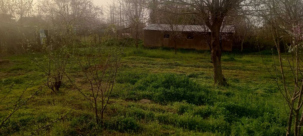 Дача сотилади 6 сотих