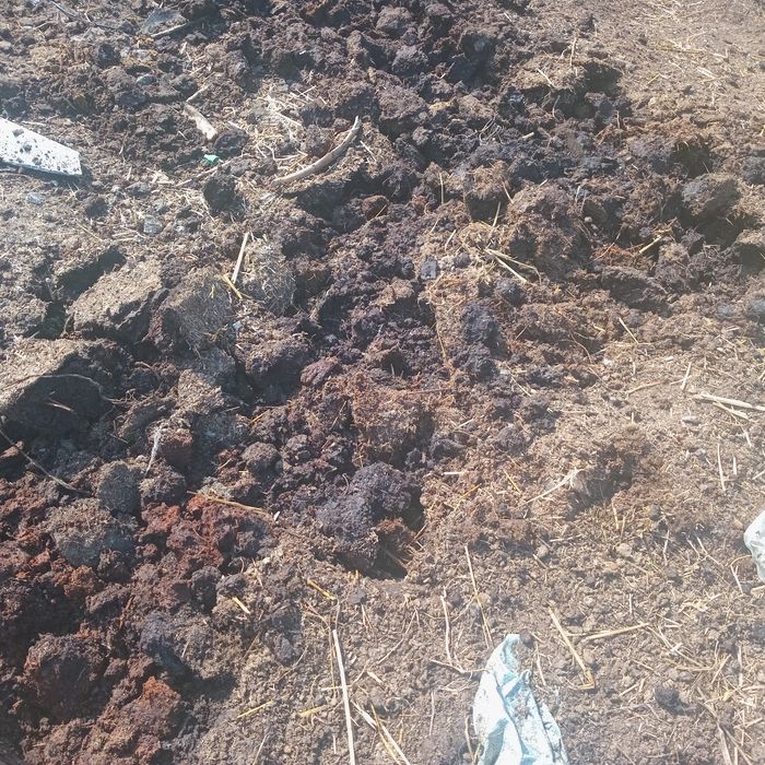 Продам чернозём м