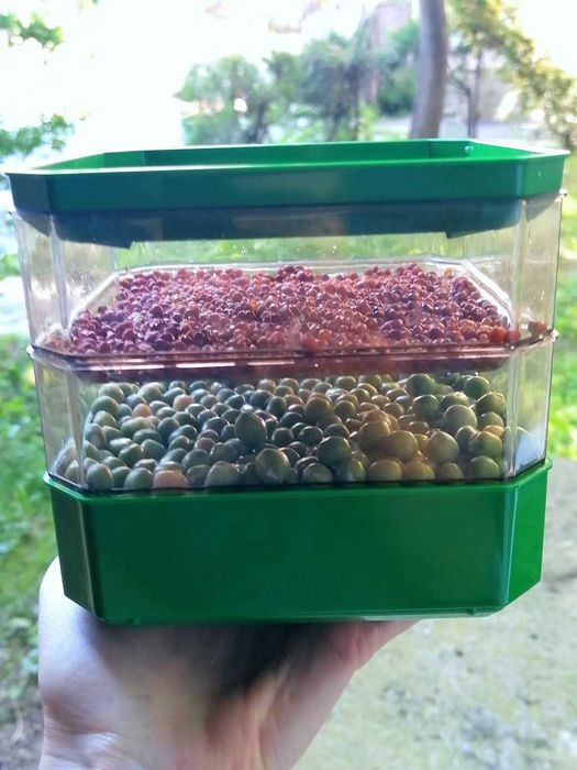 Vas de germinat seminte pentru vlastari si microplante pe 2 nivele