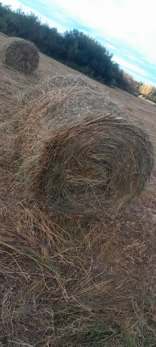 Продажа либо обмен Сено рулоны пресс пр 145