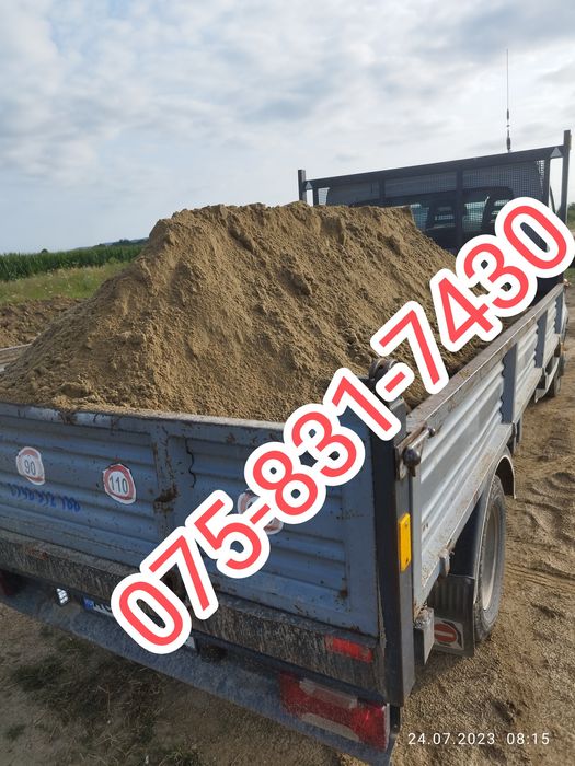 Chisai de gradina sau gazon mranita