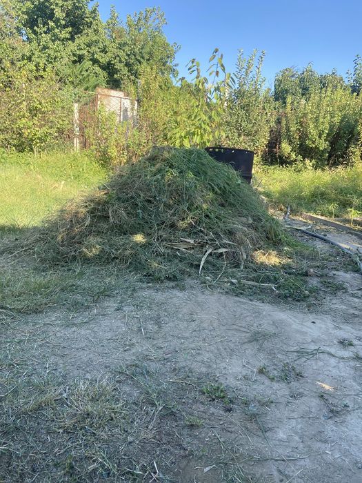 Трава скошеная в огороде для скотины нужна кому нибудь самовывоз