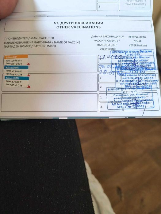 Алабайчета на 3 месеца и половина