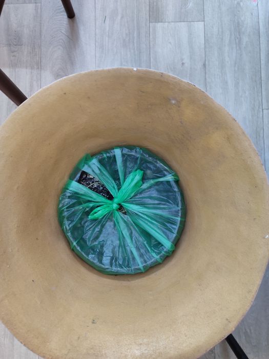 Ваза для растения