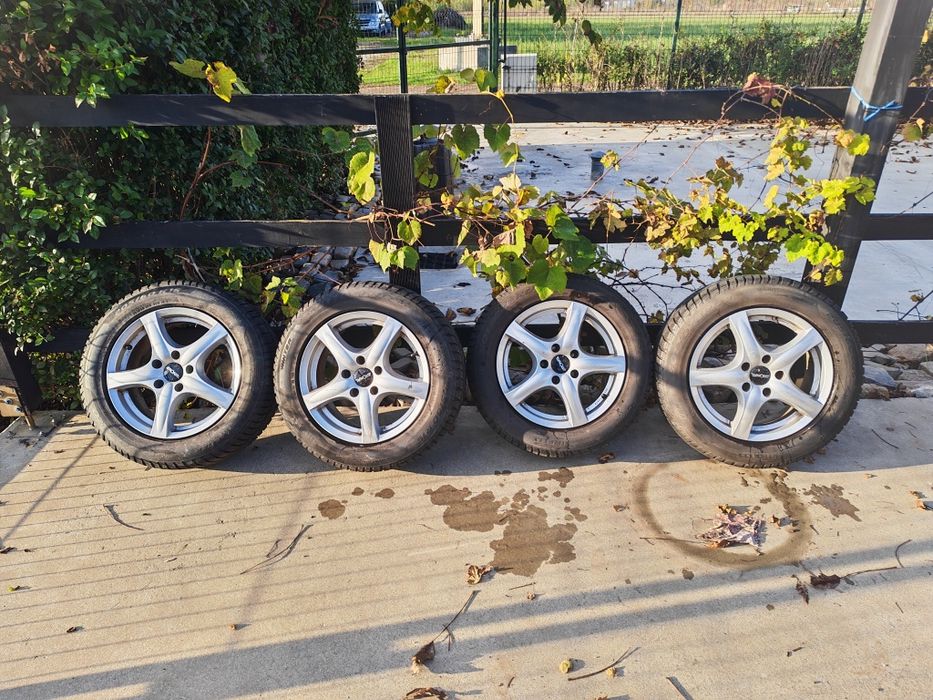Seturi roti iarnă Opel, Renault, Dacia, VW