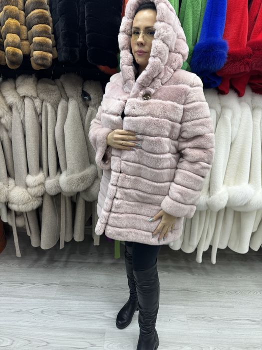 Vand chinchilla rex toate culorile si modelele la 1300 lei!