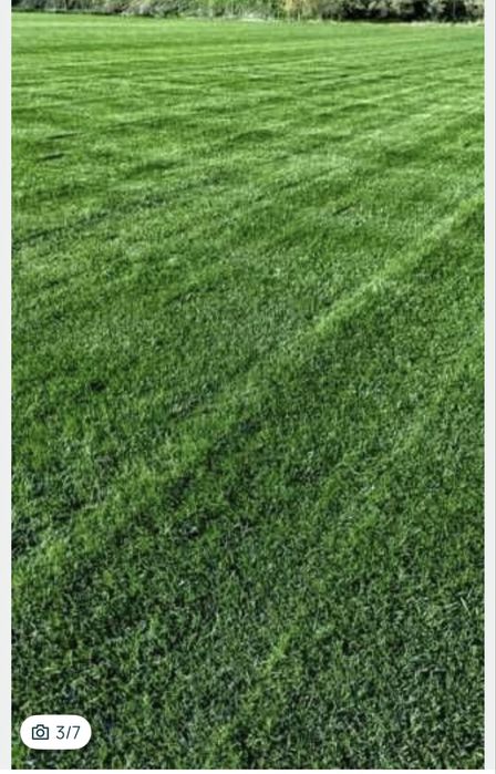 Gazon rulou de cea mai inalta calitate- Montaj inclus