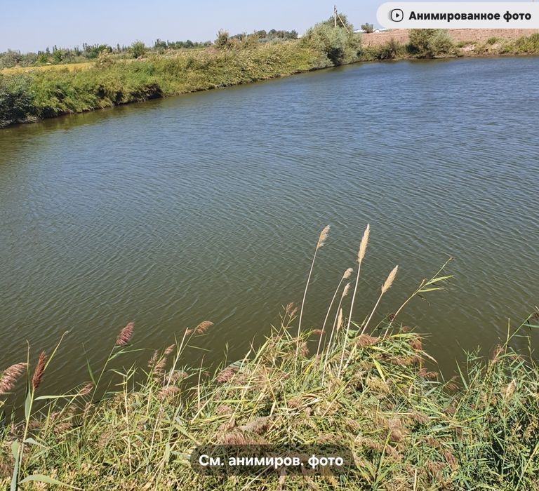 Урганч туманида балик ховузи сотилади