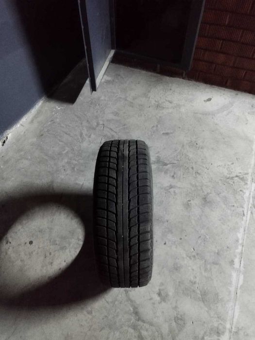 Зимние шины Triangle