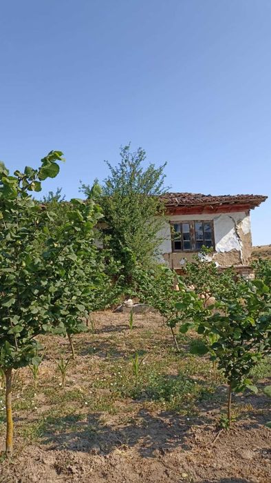 Къща с лешникова градина