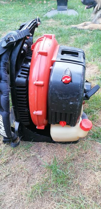 Бензинова духалка за листа echo