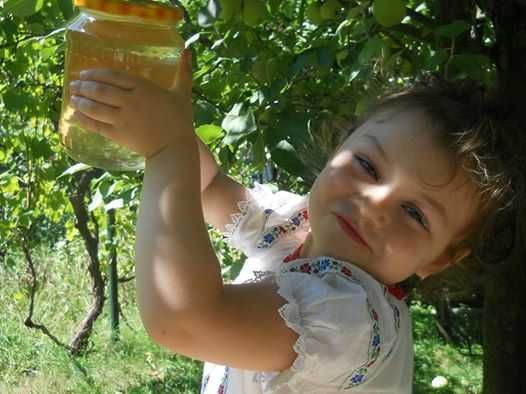 Miere de albine din salcam  si miere de albine din faneata.