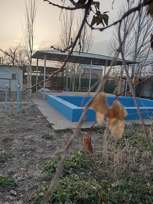 Дача в Пскенте 6 соток