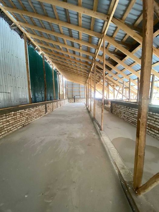 Zamonaviy lomboz xizmati | Быстрая и надёжная заливка ломбоза