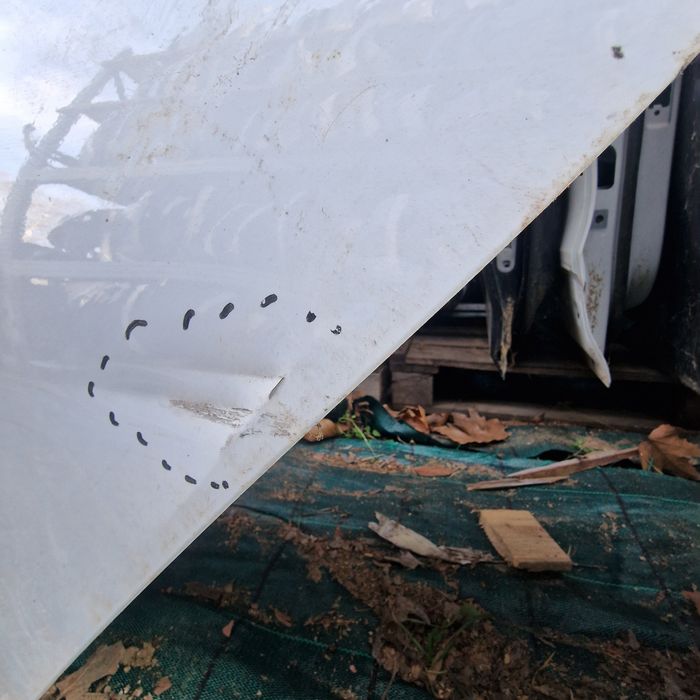 Ford Fiesta 2019 MK8 задна лява врата