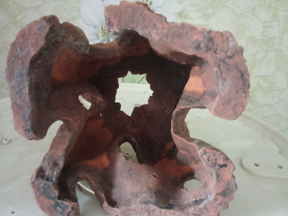 Декорации пень-дерево