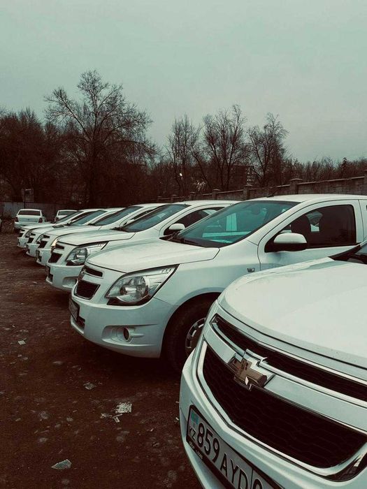 Аренда авто для такси