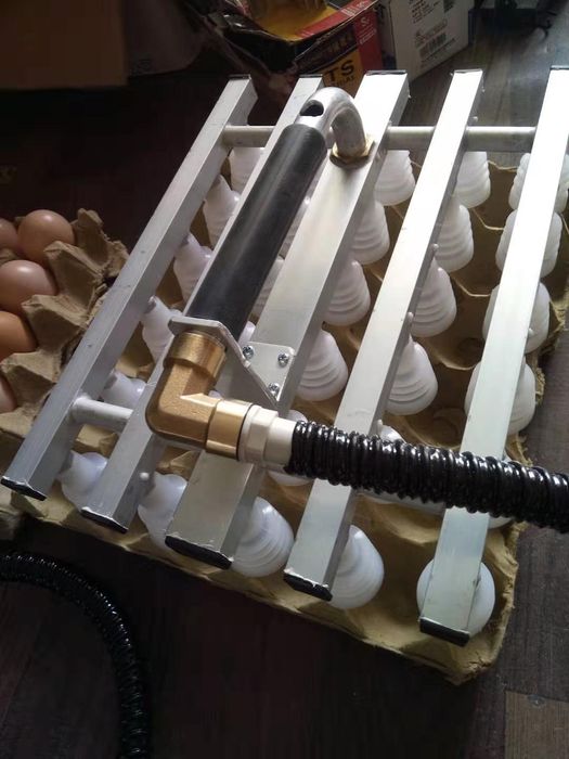 Вакуумный насос для яиц