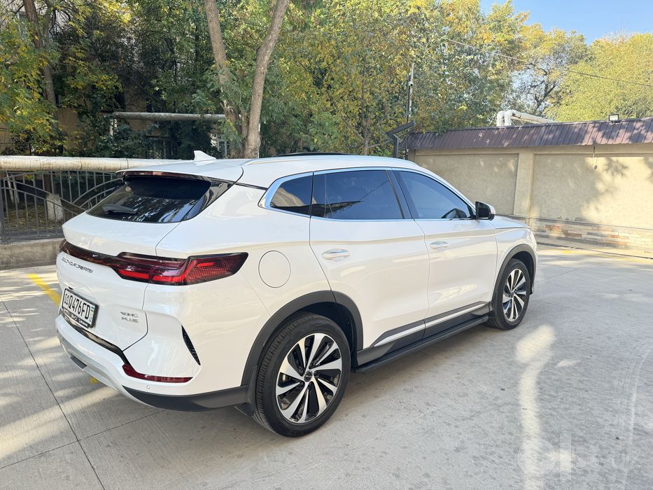 Byd champion 2024 gibrit 150 talik sotiladi