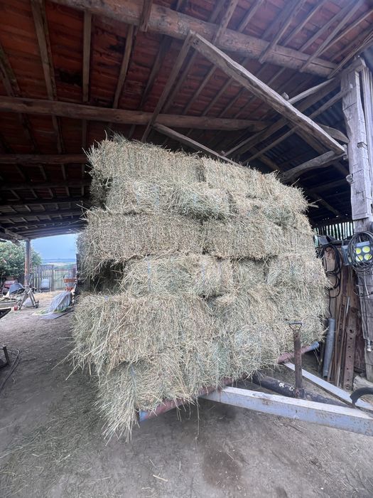 Vand baloții lucernă coasa a 2 a
