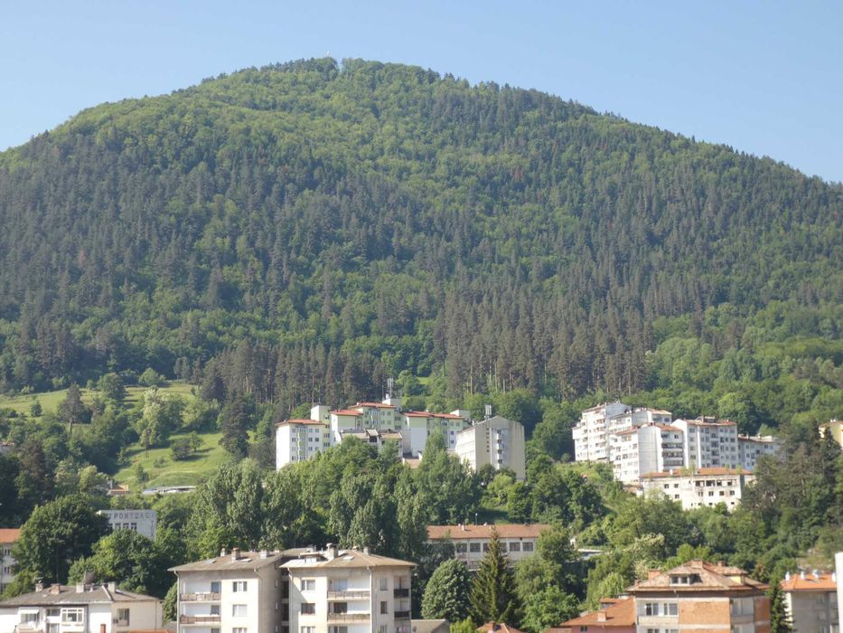 Продава се Къща в Смолян, Устово - 350 кв.м за 225 €/кв.м - Снимка #6