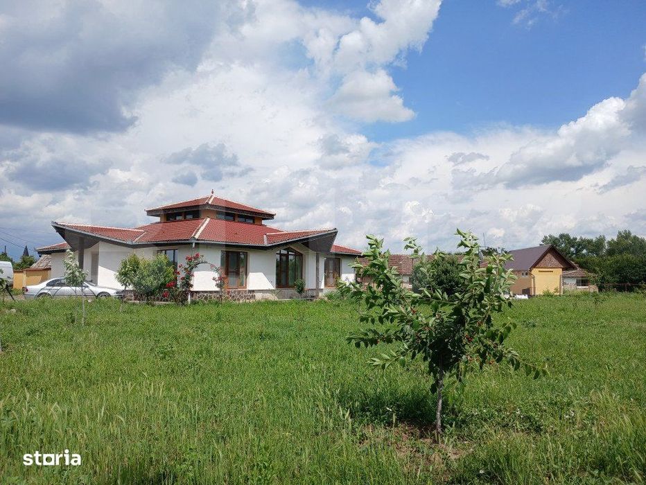 Casa superba in Tinca, 225 mp, 20 ari luciu de apa, teren fotbal, spat