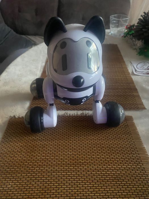 Интер активно куче с дистанционно