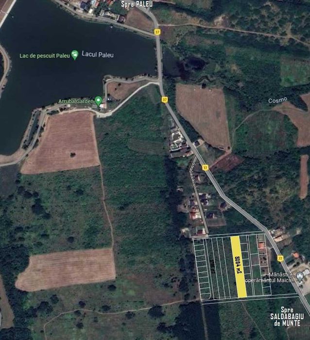 Teren 5094 mp Paleu – lângă lac – ideal investiție / parcelare