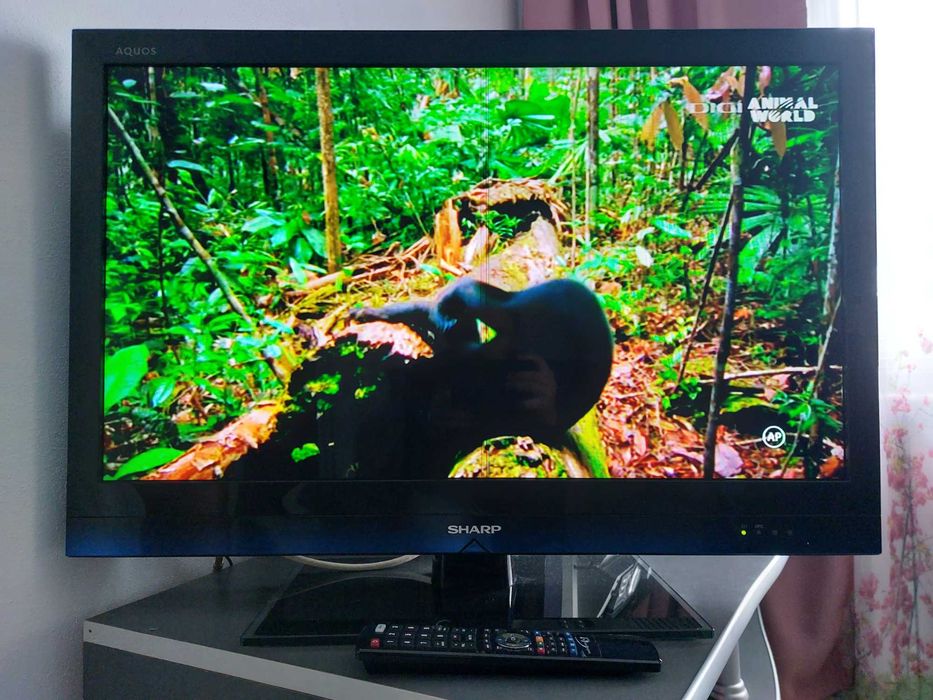 Tv LED-SHARP,81 cm-made in Japan-culori parca desprinse din natura !