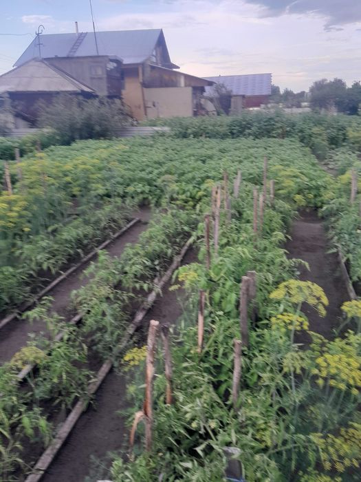 Продам дачу на Мирном