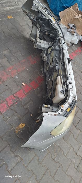 Ноускат для Ипсум