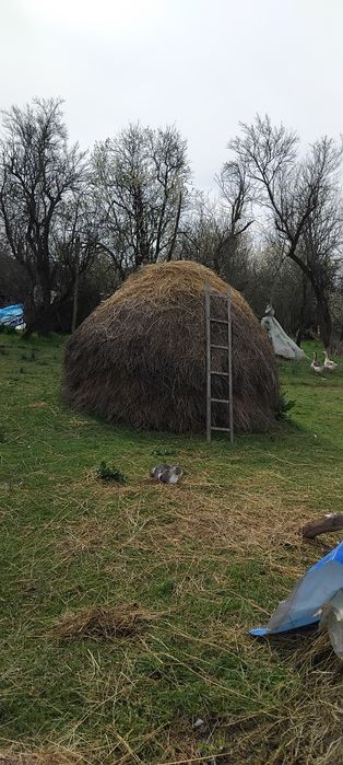 Clăi și baloți de fân