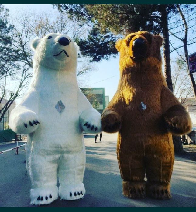 Qashqadaryo АЙИК лар ХИЗМАТИ aeq ayiq тугилган