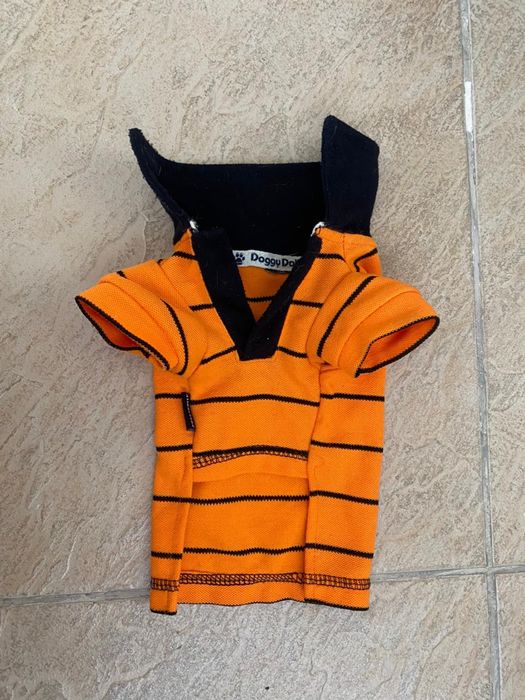 Одежда для мелких пород собаки