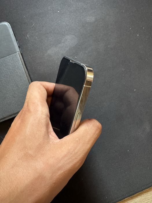 iPhone 13 Pro Max 256GB