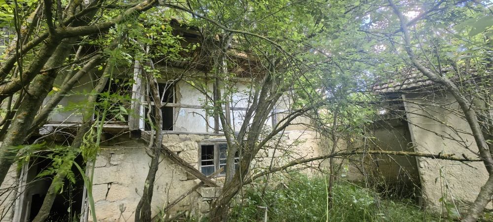 Къща с голям двор 3200 кв.м и река с. Новосел, обл. Шумен
