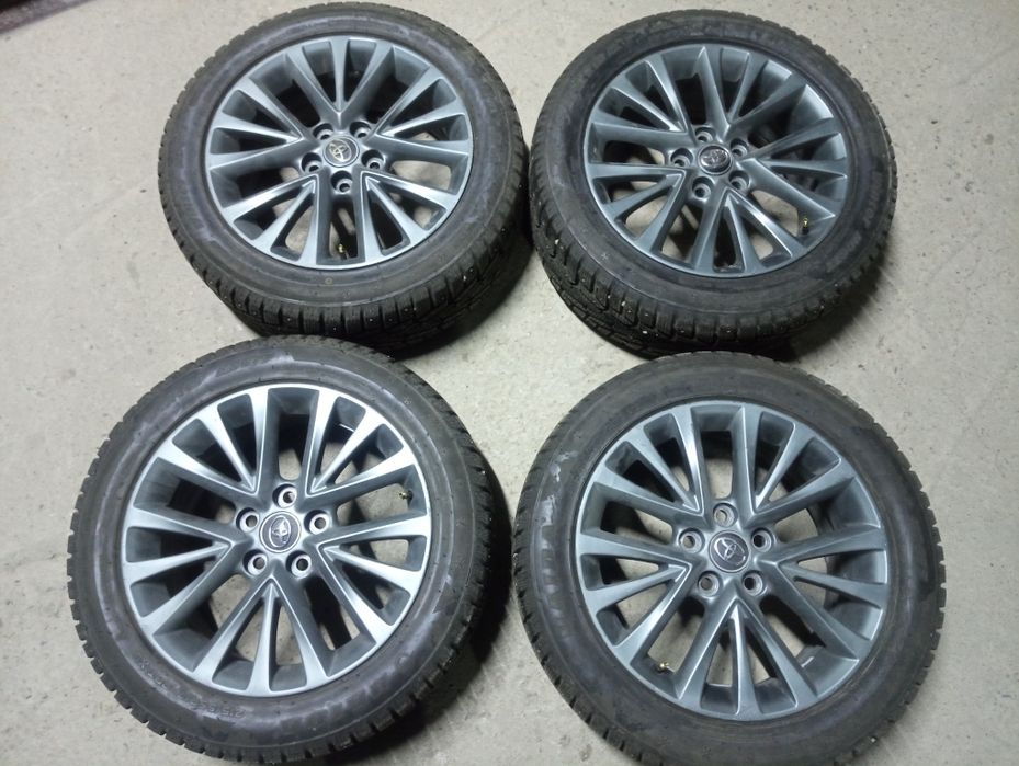 Диск балон шиповыный