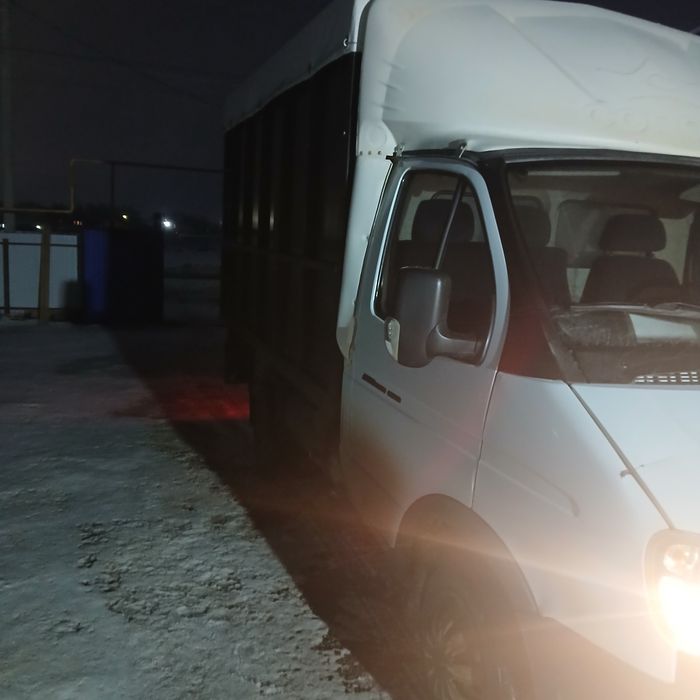 Газель с усесенный рамой