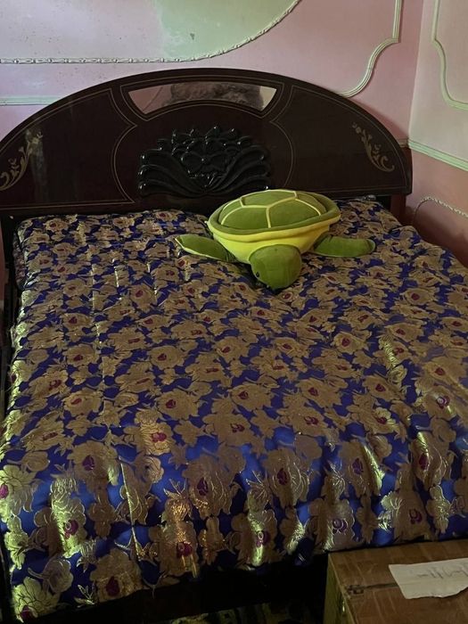 Спалный диван карейский