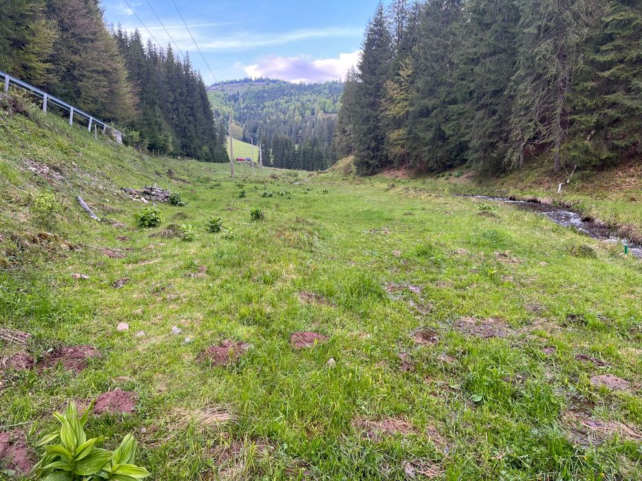 Teren intravilan Arieseni - 1250 mp - lângă drum asfaltat