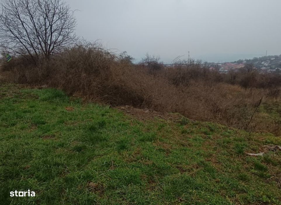 Teren intravilan Tomesti , 11000 metri Cod:161403