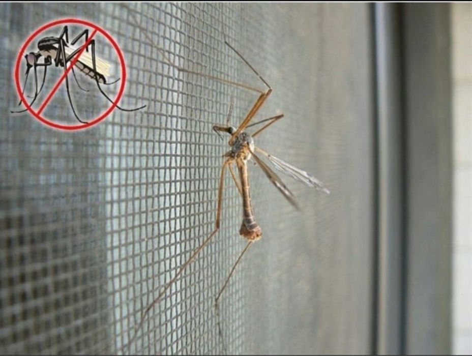 Маскетний сетка Masketniy setka