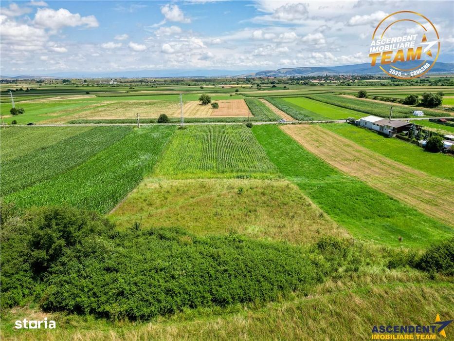 Oportunitate de investitie, PUZ aprobat: zona servicii