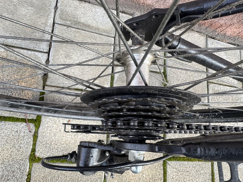 Bicicleta barbateasca